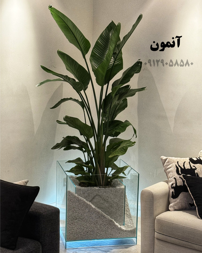 گلدان شیشه ای فلورا