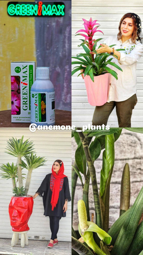 کود تقویتی گرینی مکس 2