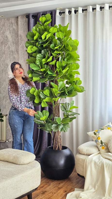 فیکوس لیراتا مصنوعی