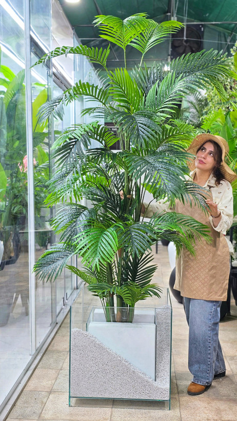 نخل اریکا مصنوعی