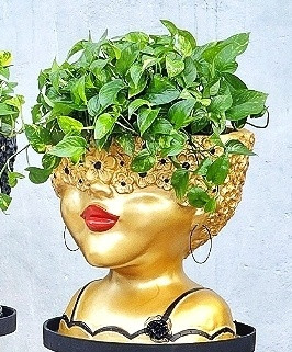 گلدان هایدی بزرگ
